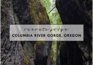 Oneonta Gorge oregon Map 12 Best Oneonta Gorge oregon Images Destinations Places to