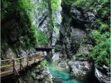 Oneonta Gorge oregon Map Oneonta Gorge Multnomah County oregon Hikes Pinterest