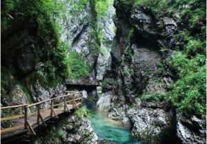 Oneonta Gorge oregon Map Oneonta Gorge Multnomah County oregon Hikes Pinterest