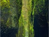 Oneonta Gorge oregon Map Oneonta Green Love This World Pinterest oregon Usa Beautiful