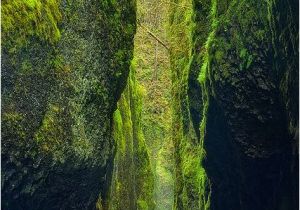 Oneonta Gorge oregon Map Oneonta Green Love This World Pinterest oregon Usa Beautiful