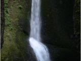 Oneonta Gorge oregon Map the top 10 Things to Do Near Multnomah Falls Bridal Veil Tripadvisor