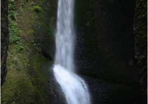 Oneonta Gorge oregon Map the top 10 Things to Do Near Multnomah Falls Bridal Veil Tripadvisor