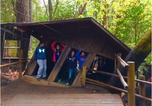 Oregon Vortex Map Photo0 Jpg Picture Of the oregon Vortex House Of Mystery Gold