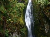 Oregon Waterfalls Map 20 Awesome Lane County Waterfalls Images Waterfall Waterfalls