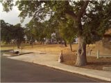Orland California Map Great Camping Experience Review Of Buckhorn Recreation area