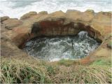 Otter Rock oregon Map Devil S Punch Bowl Otter Rock or Picture Of Devils Punchbowl