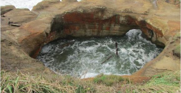 Otter Rock oregon Map Devil S Punch Bowl Otter Rock or Picture Of Devils Punchbowl