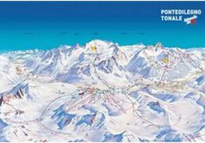 Passo tonale Italy Piste Map 36 Best Piste Maps 16 17 Images Blue Prints Cards Map