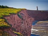 Pei Canada Map Birds at Cape Tryon Prince Edward island Prince Edward