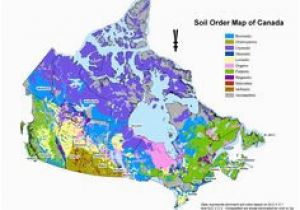 Permafrost Map Of Canada 12 Best Canada Countrywide Geology Hydrology Flora Fauna Maps Images