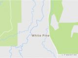 Pine River Michigan Map White Pine 2019 Best Of White Pine Mi tourism Tripadvisor