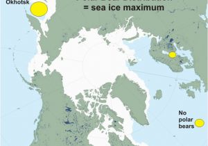 Polar Bears In Canada Map Polar Bear Habitat Polarbearscience Page 2