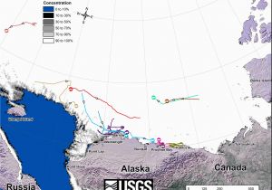 Polar Bears In Canada Map Tracking Polar Bears In the Beaufort Sea November 2014 Map