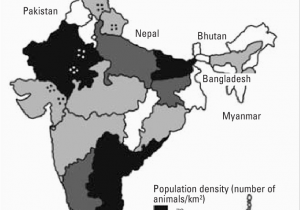 Population Density Map Of Italy Map Showing the Population Density Of Small Ruminants In Various