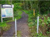 Powell butte oregon Map Holgate Boulevard Trailhead Hiking In Portland oregon and Washington