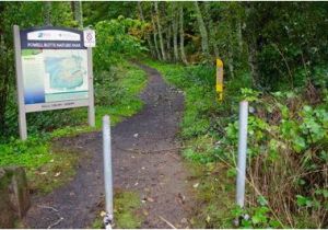 Powell butte oregon Map Holgate Boulevard Trailhead Hiking In Portland oregon and Washington