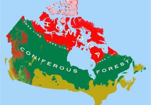 Printable Map Of Canada with Cities Canadian Arctic Tundra Wikipedia