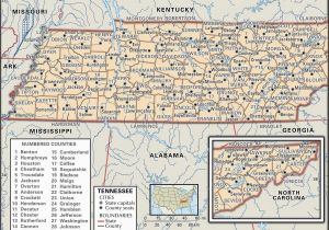 Printable Map Of Tennessee Counties A Map Of Tennessee Cities Maplewebandpc Com