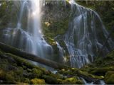 Proxy Falls oregon Map Hike to Proxy Falls Road Trip Washington