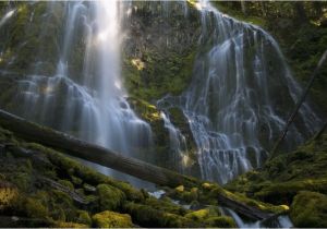 Proxy Falls oregon Map Hike to Proxy Falls Road Trip Washington