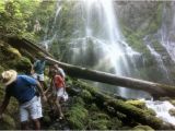 Proxy Falls oregon Map Lower Proxy Falls Picture Of Proxy Falls Sisters Tripadvisor