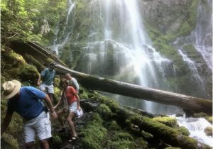 Proxy Falls oregon Map Lower Proxy Falls Picture Of Proxy Falls Sisters Tripadvisor