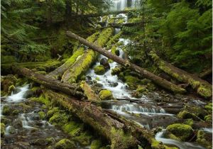 Proxy Falls oregon Map One Of oregon S Most Photogenic Waterfalls Roadtrippers 3 Hours