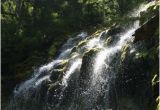 Proxy Falls oregon Map Upper Proxy Falls Picture Of Proxy Falls Sisters Tripadvisor