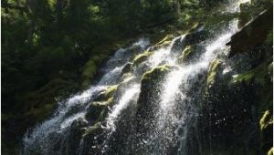 Proxy Falls oregon Map Upper Proxy Falls Picture Of Proxy Falls Sisters Tripadvisor