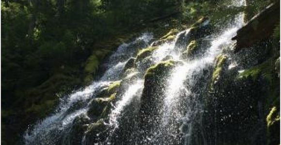 Proxy Falls oregon Map Upper Proxy Falls Picture Of Proxy Falls Sisters Tripadvisor