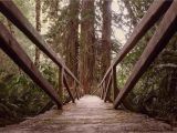 Redwood forest oregon Map California Redwood forests where to See the Big Trees