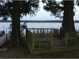 Reelfoot Lake Tennessee Map A View From Blue Basin Lodge Picture Of Blue Basin Cove Lodge