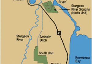 Rivers In Michigan Map Michigan Trail Maps