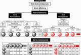 Roadmap Of Alabama Nanomaterials Classification Roadmap Download Scientific Diagram
