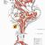 San Gimignano Italy Map San Gimignano Guide to the town Map with Keys Visit San Gimignano