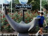 Sea World Ohio Map Sea World Of Ohio Places I Ve Been In 2018 Pinterest Ohio Sea Sea World Ohio Map Sea World Of Ohio Places I Ve Been In 2018 Pinterest Ohio Sea