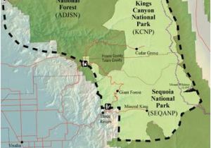 Sequoia National Park California Map An Illustrated Flora Of Sequoia and Kings Canyon National Parks