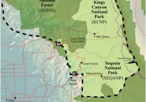 Sequoia National Park California Map An Illustrated Flora Of Sequoia and Kings Canyon National Parks