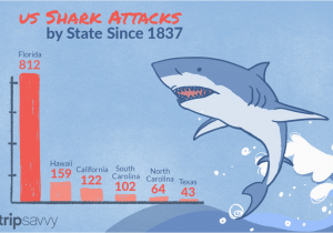 Shark attack Map California Shark attacks In the United States by State