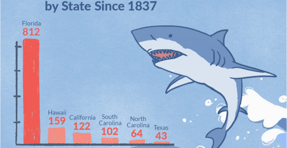 Shark attack Map California Shark attacks In the United States by State