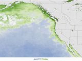 Shark attack Map California toxic Algae Bloom is Killing Animals On the Pacific Coast Business