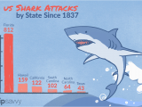 Shark attacks California Map Shark attacks In the United States by State