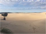 Silver Lake Sand Dunes Michigan Map Silver Lake Sand Dunes Picture Of Silver Lake Sand Dunes Hart