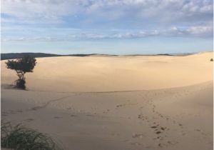 Silver Lake Sand Dunes Michigan Map Silver Lake Sand Dunes Picture Of Silver Lake Sand Dunes Hart