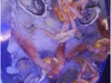Supino Italy Map Taverna Del Pesce Picture Of Taverna Del Pesce Supino Tripadvisor