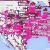 T Mobile Coverage Map Georgia T Mobile Lte Coverage Map Tmonews Inspiring Ideas 6476