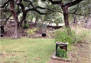 Tarpley Texas Map Backyard area Behind the House at the Fig Preserve Picture Of the