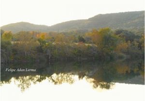 Tarpley Texas Map Pond Near the House and Visible From the Porch at the Fig Preserve