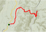 Tennessee Caves Map Buggytop Trail to Lost Cove Cave Tennessee Alltrails